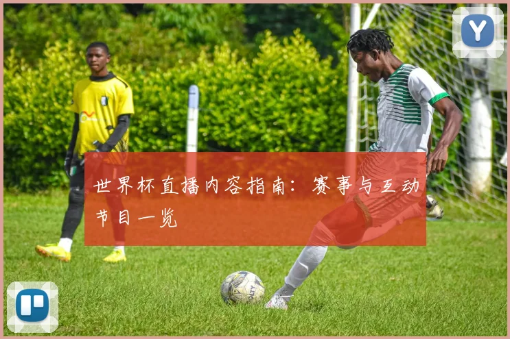 世界杯直播内容指南：赛事与互动节目一览